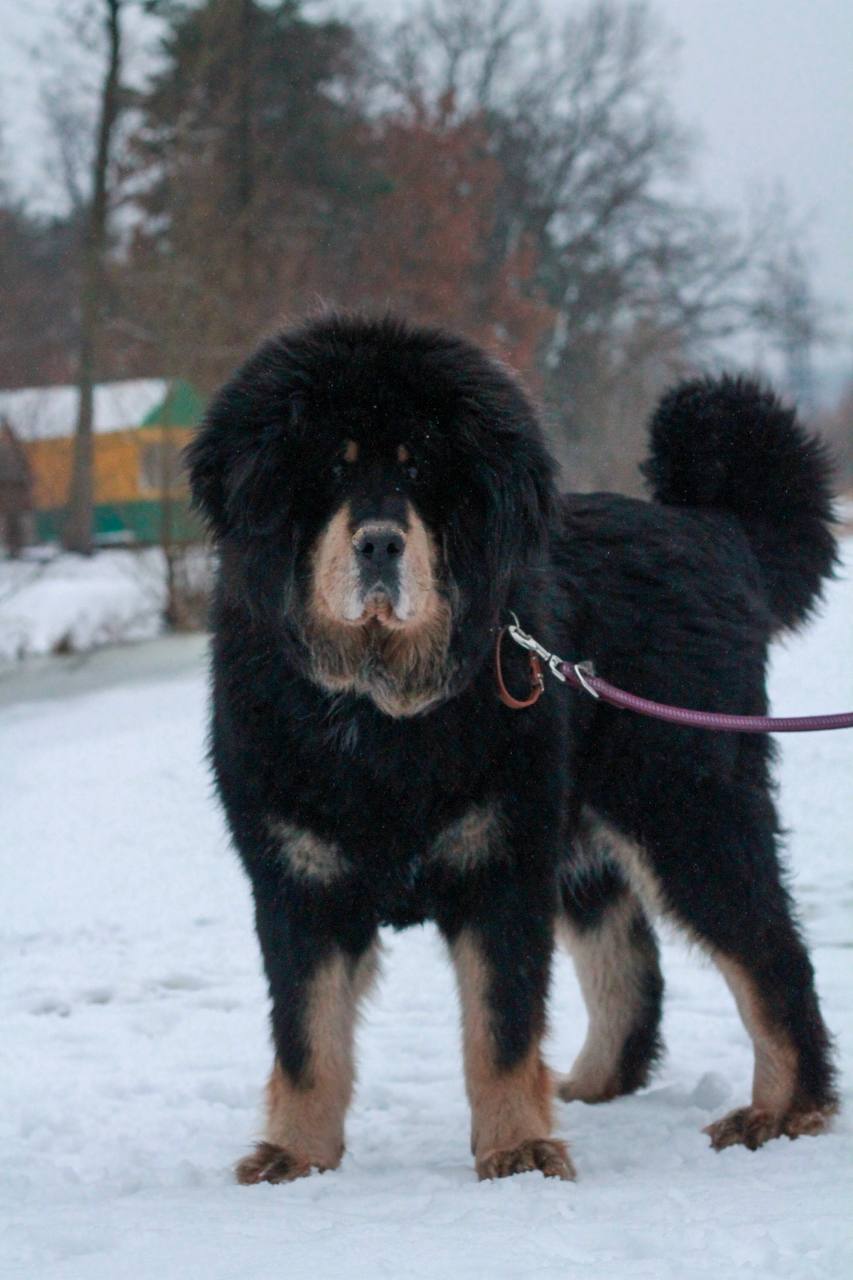 Аксай
